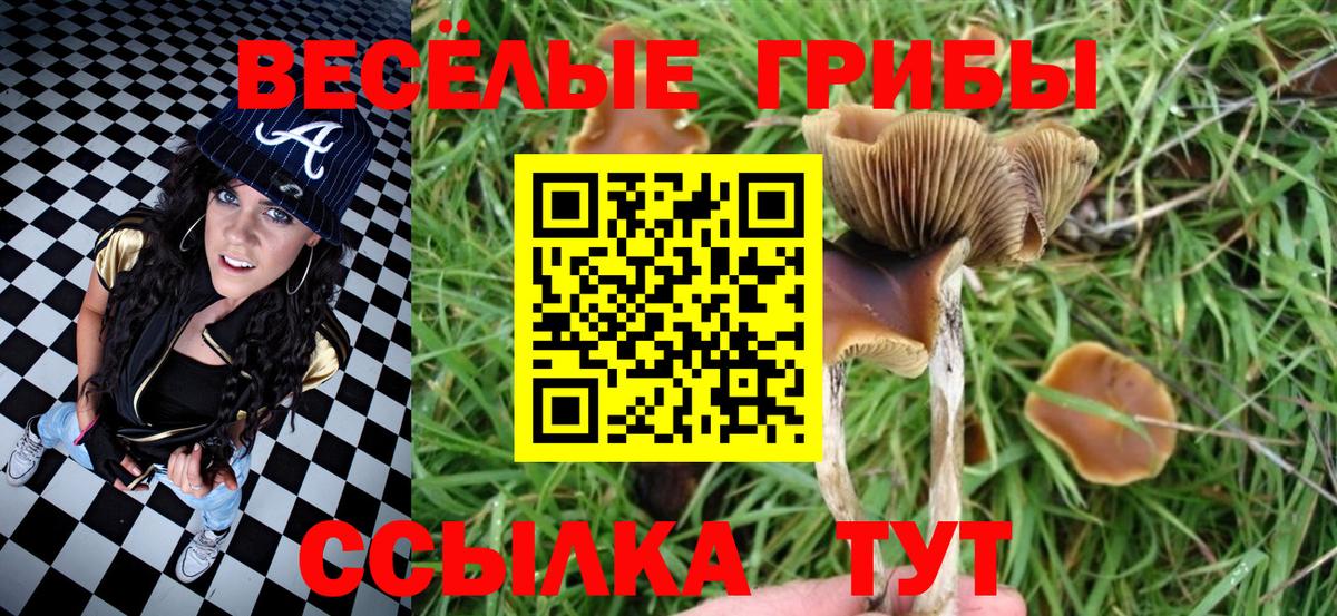 Псилоцибиновые грибы Magic Shrooms Курчалой