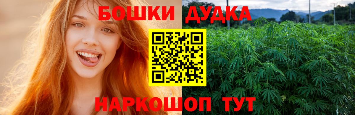 Бошки Шишки планчик Курчалой